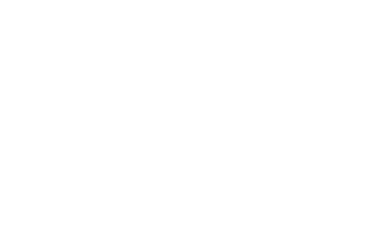 识度科技 logo