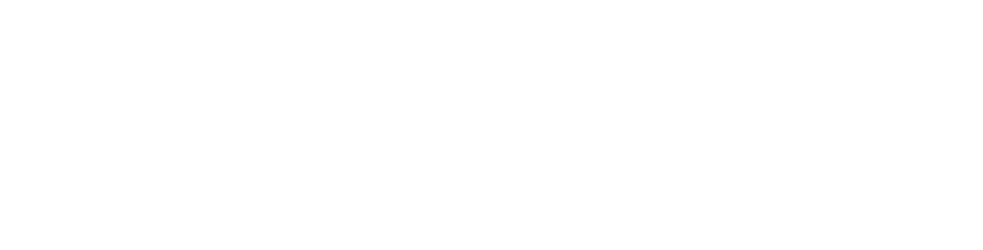 温德姆 logo