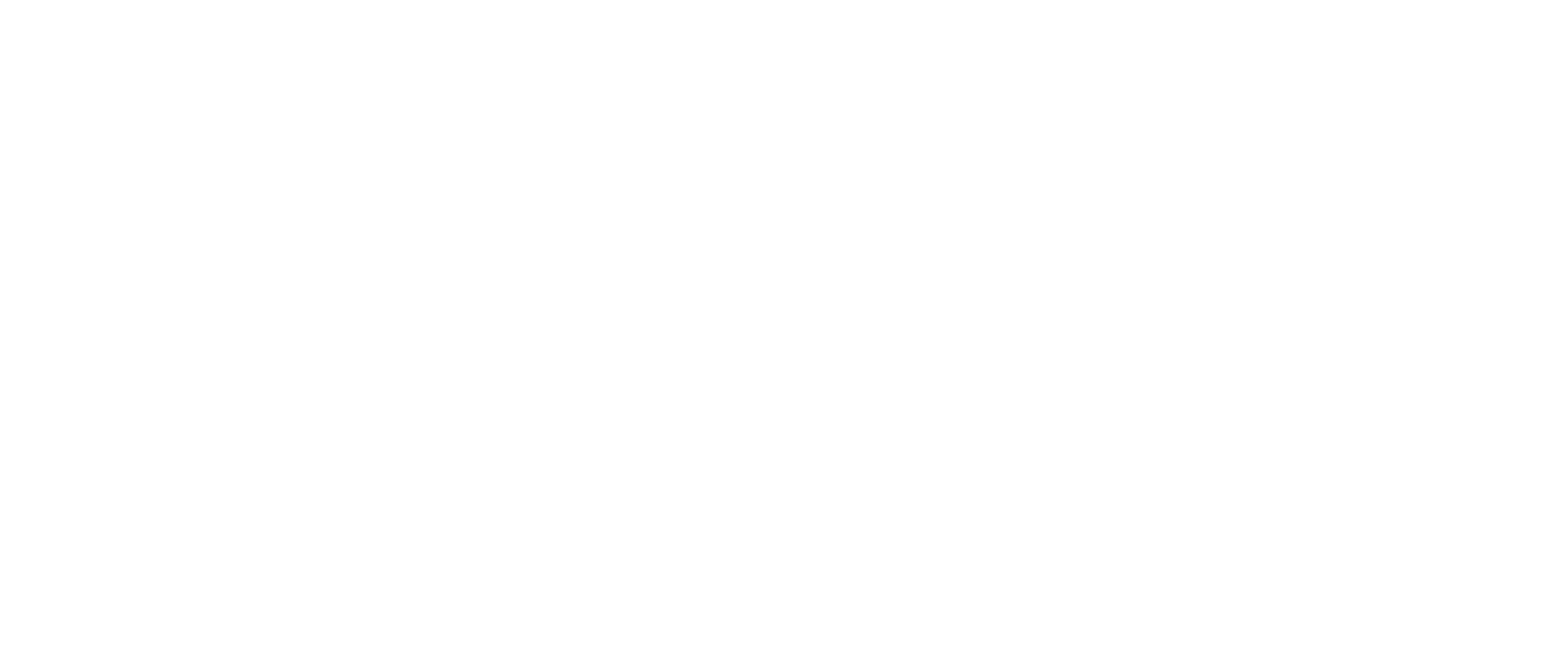 阿迪纳兰 logo